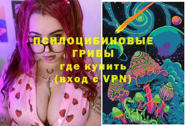 бошки Нефтегорск