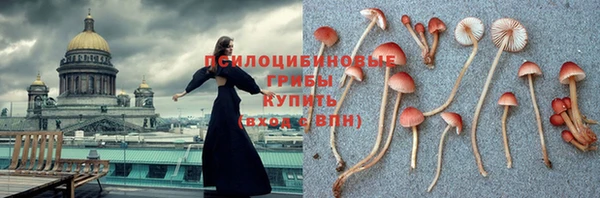 бошки Нефтегорск