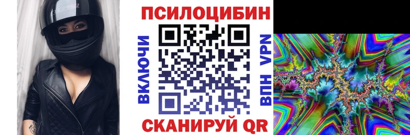магазин продажи   Электроугли  Псилоцибиновые грибы Psilocybe 